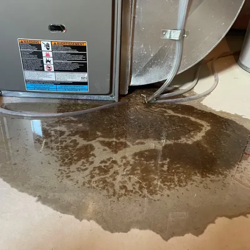 Appliance Leak Cleanup in Wintersville, OH